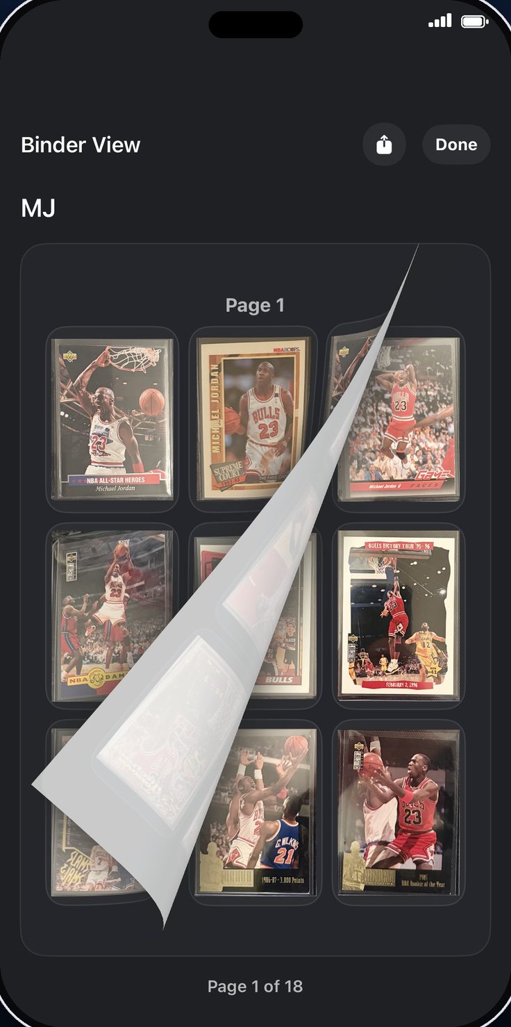 Binder View with page turning